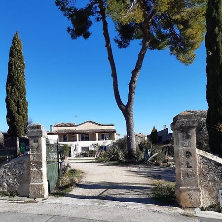 Gites Du Mas Gibert A Saussines Entre Nimes Et Montpellier Εξωτερικό φωτογραφία