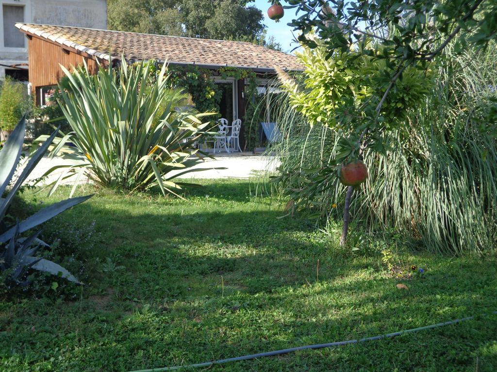 Gites Du Mas Gibert A Saussines Entre Nimes Et Montpellier Εξωτερικό φωτογραφία